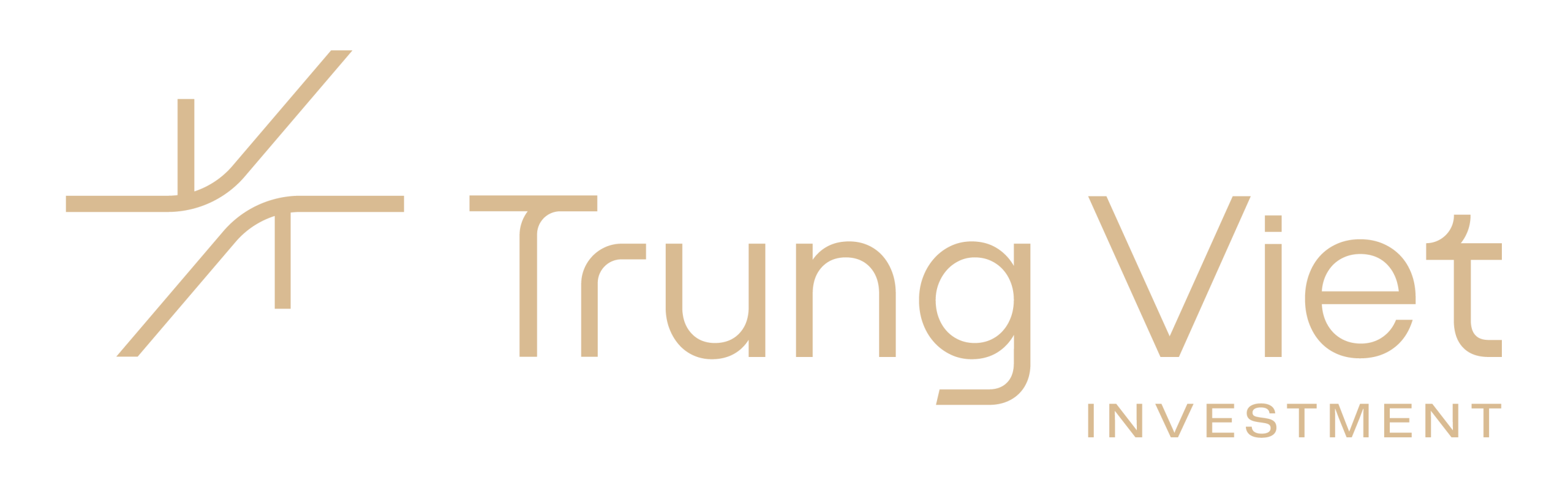 Trung Việt Investment